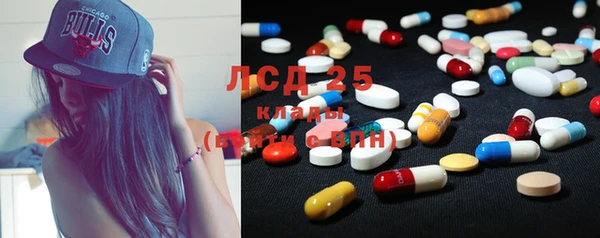 2c-b Краснослободск