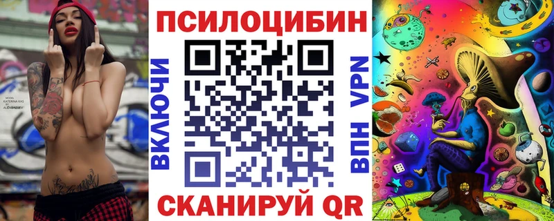 Купить где Ржев Псилоцибиновые грибы прущие грибы